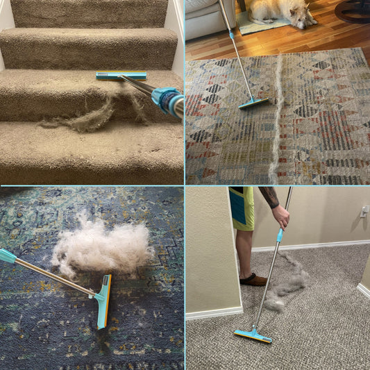 Pet Hair Removal Broom